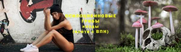тгк Краснотурьинск