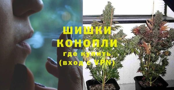 гидропоника Кодинск