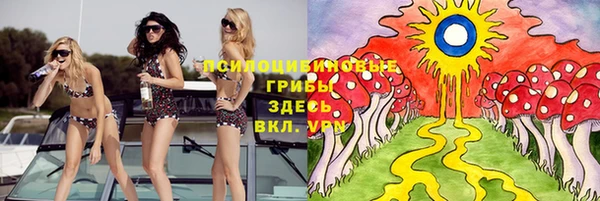 тгк Краснотурьинск