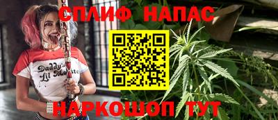 spice Гусиноозёрск