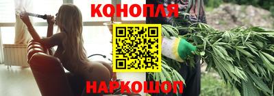 крисы Гусев